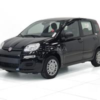 Fiat Panda pandina 1.0 firefly hybrid icon s&s 70c