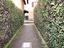 Immagine 26
