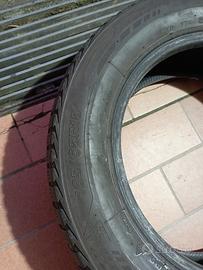 gomme neve
