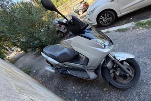 X max 250