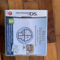 Nintendo ds brain training