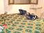 Immagine 26