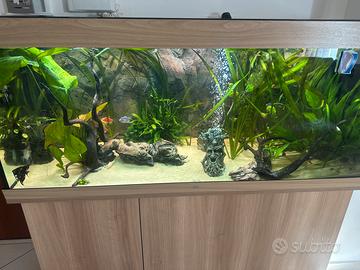Acquario juwel rio 450