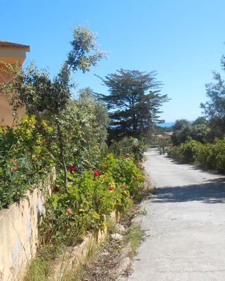 Casa mare