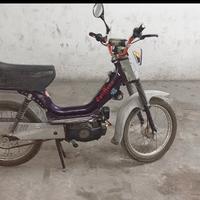 motorino 50 