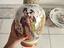 Immagine 1