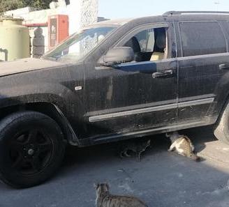 Ricambi Jeep Grand Cherokee 3.0 D del 2008