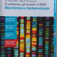 IL CARBONIO, GLI ENZIMI, IL DNA.