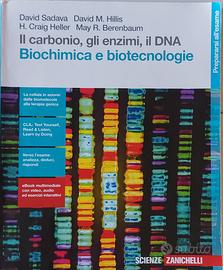 IL CARBONIO, GLI ENZIMI, IL DNA.