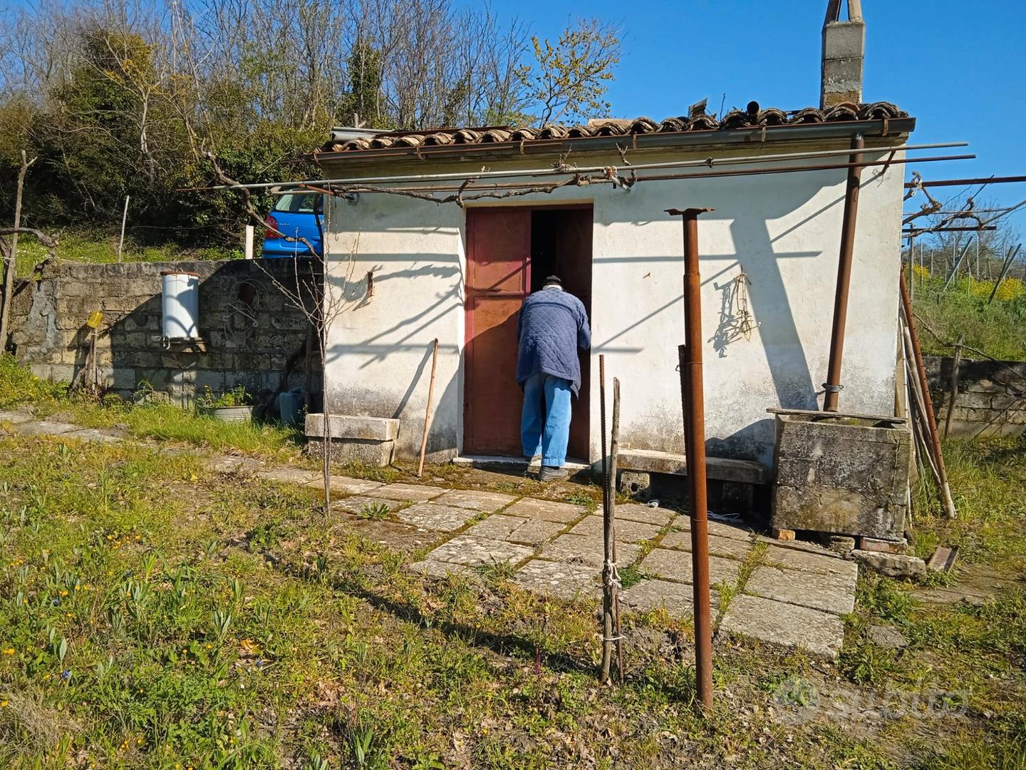 Terreno con piante di olivi - Vista 5