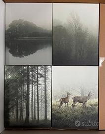 quadretti natura