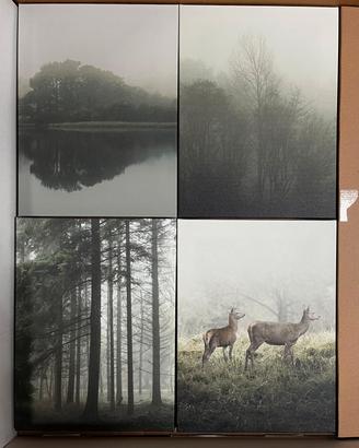 quadretti natura