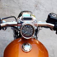 Due Manubri Harley Sportster