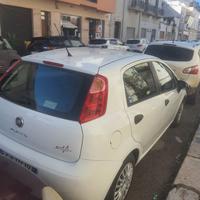 Fiat 1.3 multijet 75cv adatto anche per neopatenta