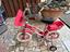 Immagine 2