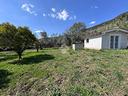 ter-agricolo-a-trevignano-romano