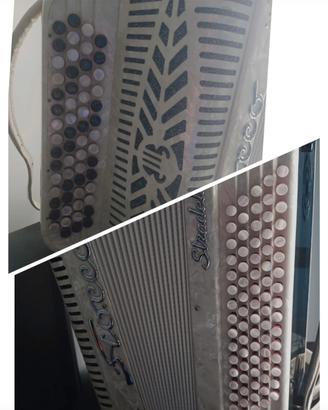 fisarmonica a bottoni 