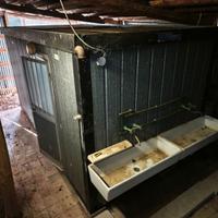 BOX CONTAINER CON DOCCE, WC, LAVANDINI, BOILER