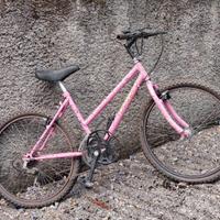 Bicicletta Mountainbike (MTB) da donna