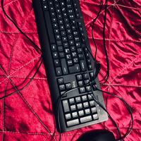 Tastiera e mouse trust comfort usata poco