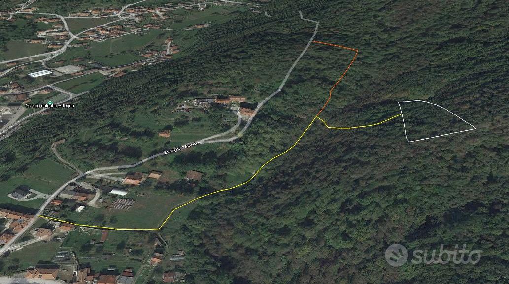 Terreno boschivo / castagneto ad Artegna - Vista 3