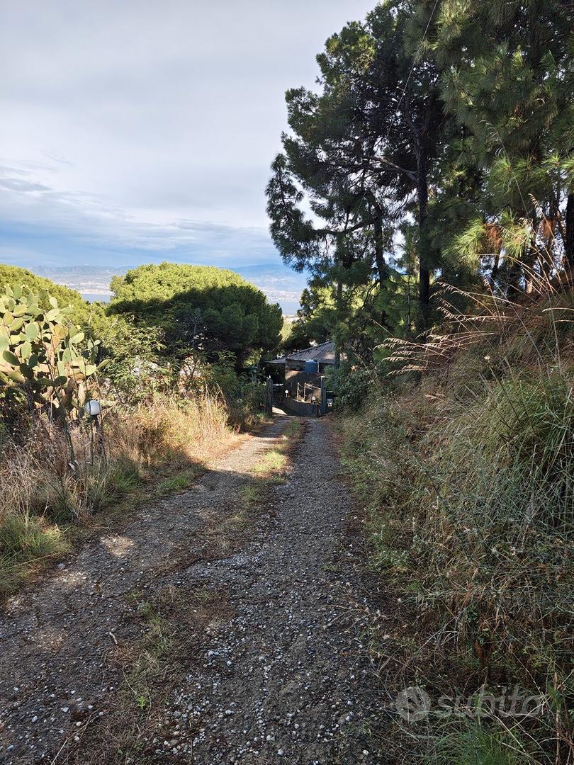 Immobile da ristrutturare con terreno - Vista 2