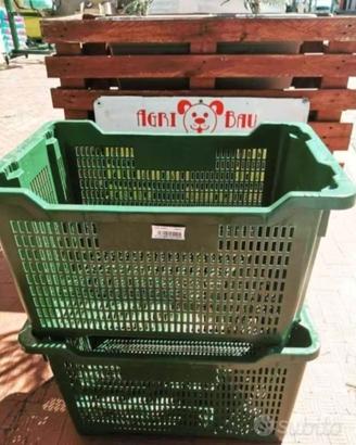 CASSETTE DA OLIVE IN MULTIPLI DI 10