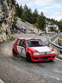 Peugeot 205 GTI 1.6 115cv