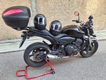Hornet 600
