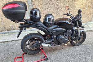 Hornet 600