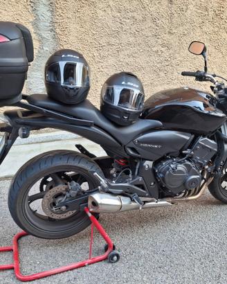 Hornet 600