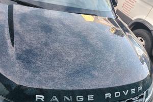 RANVE ROVER EVOQUE CON MOTORE GUASTO