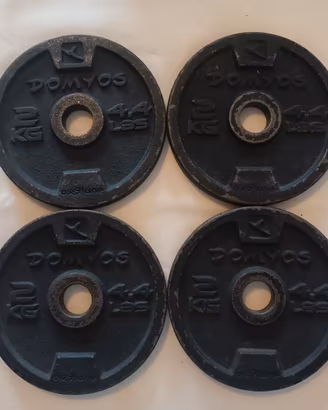 dischi decathlon pesi palestra fitness kg 2