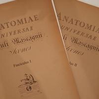 stampe Anatomiae Universae Paolo Mascagni