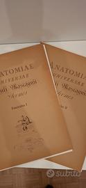 stampe Anatomiae Universae Paolo Mascagni