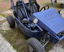 Dune buggy joyner sand viper 250 cc