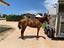 Immagine 6