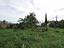 Immagine 9