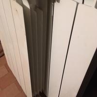 Termosifoni in alluminio
