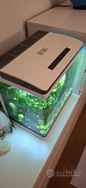 acquario 28LT completo