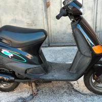 Zip Piaggio 