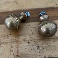 pomoli in OTTONE