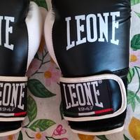 Guantoni da boxe leone
