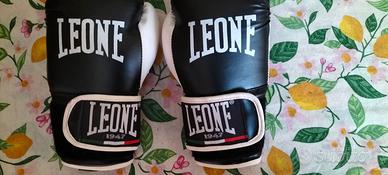 Guantoni da boxe leone