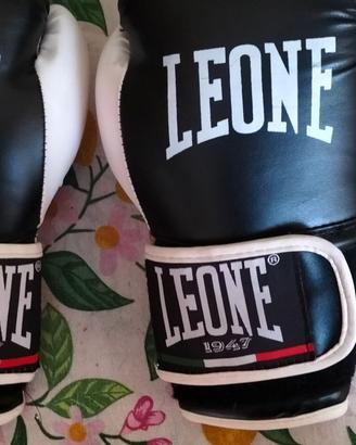 Guantoni da boxe leone