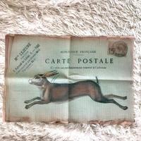 Set nr 4 tovagliette colazione