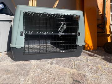 Kennel per cani taglia grande