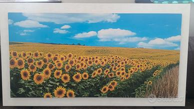 Quadro Girasoli  
