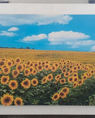 Quadro Girasoli  