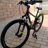 Bici ragazzo 24